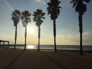 IMG_9093